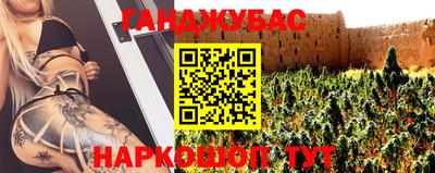 шишки Будённовск