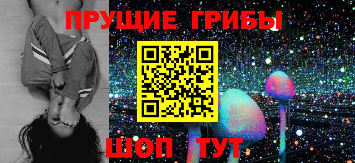 Галлюциногенные грибы Psilocybe  Вход с VPN  Галлюциногенные грибы Magic Shrooms  Новомосковск 